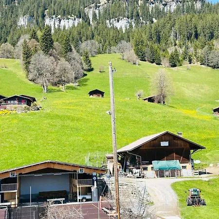 3 - Quiet And Unique Near Interlaken *