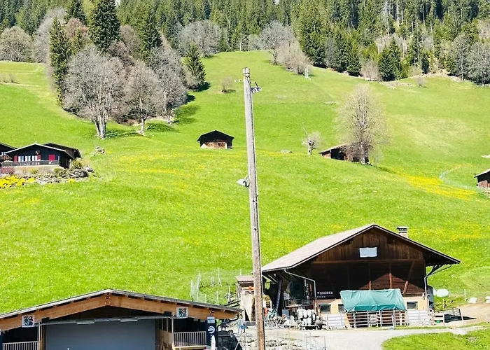 3 - Quiet And Unique Near Interlaken *