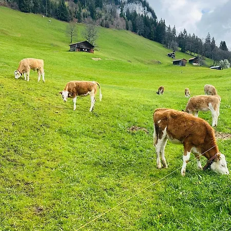 3 - Quiet And Unique Near Interlaken Beatenberg