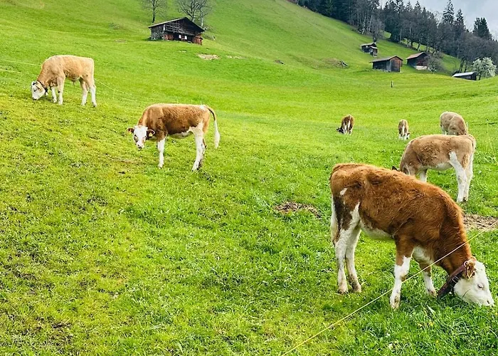 3 - Quiet And Unique Near Interlaken بيتنبرغ